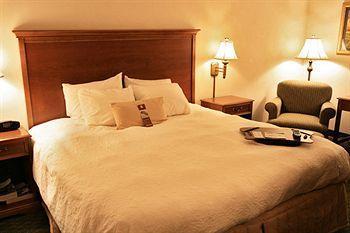 Hotel Hampton Raleigh/town Of Wake Forest