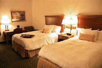 Hotel Hampton Raleigh/town Of 3*